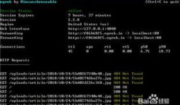 外网爆料视频违法吗,违法视频传播的法律边界